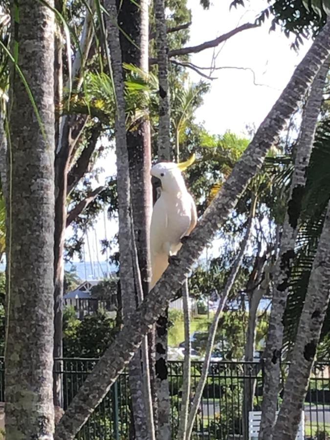 Colonial Palms Motor Inn Airlie Beach Eksteriør bilde