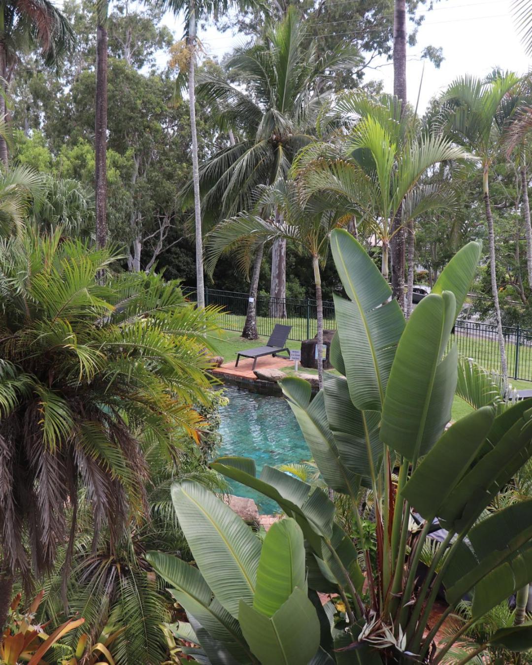 Colonial Palms Motor Inn Airlie Beach Eksteriør bilde